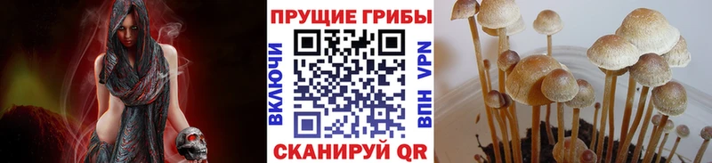 Псилоцибиновые грибы прущие грибы  Шарыпово 