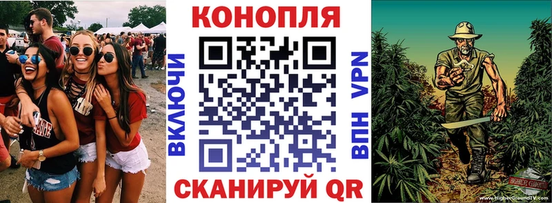 Конопля гибрид  продажа наркотиков  Шарыпово 